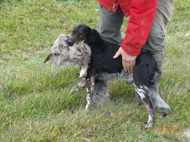 Levis de la vallée de la Py