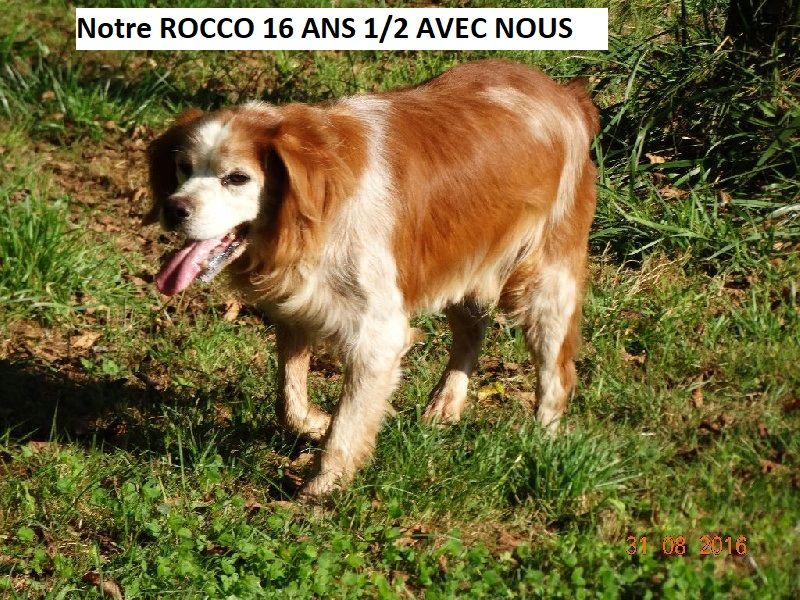 Rocco (Sans Affixe)
