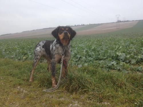 de la vallée de la Py - DES NOUVELLES DE  MABELLE