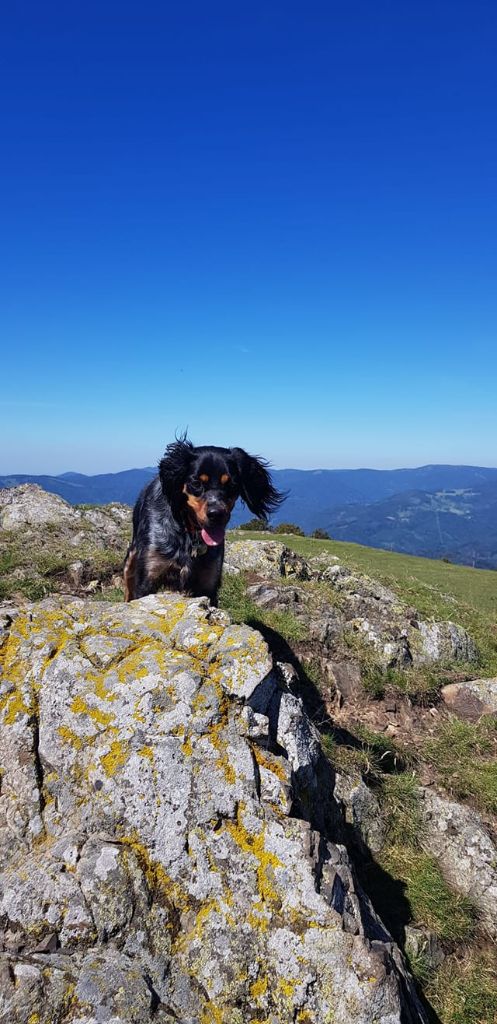 de la vallée de la Py - Reçu une photo de Yoko de la vallée de la py merci