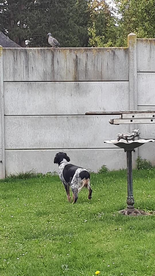 de la vallée de la Py - Reçu une photo de Taya de la vallée de la py merci