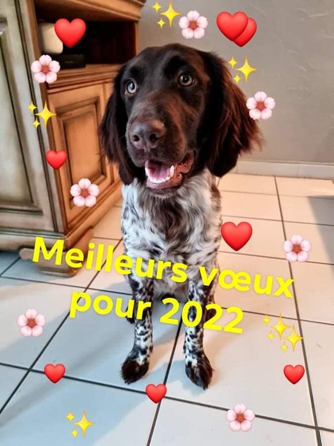 de la vallée de la Py - Reçu une photo de Suki de la vallée de la py merci