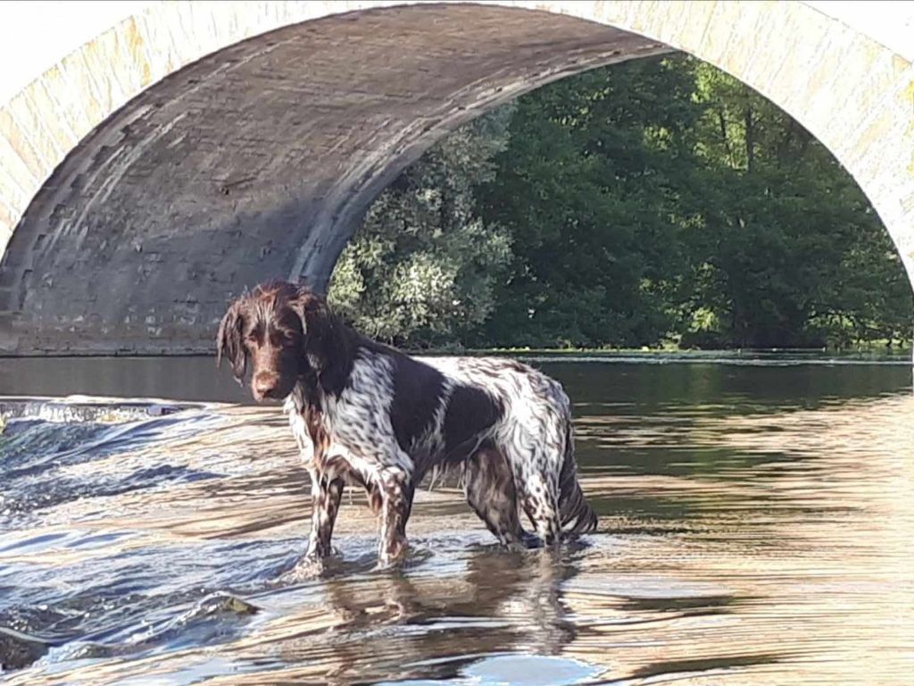 de la vallée de la Py - Reçu une photo de sheyenne de la vallée de la py merci