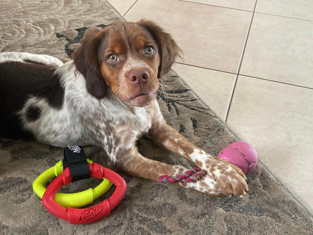 de la vallée de la Py - Reçu une photo de U'Woody de la vallée de la py merci