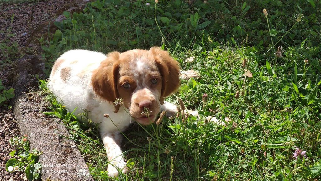 de la vallée de la Py - Reçu une photo de Twix de la vallée de la py merci