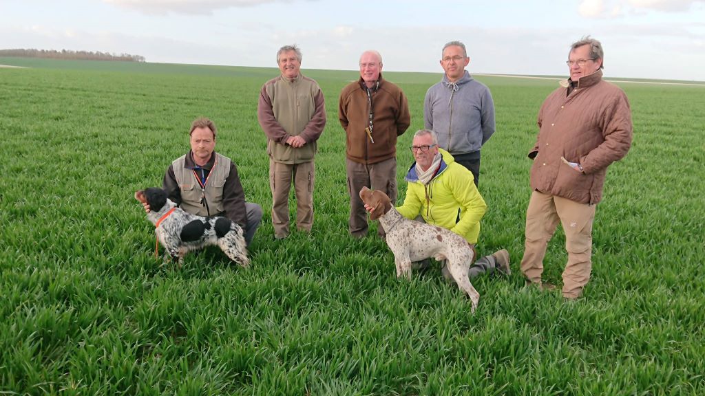 de la vallée de la Py - CONCOURS DE FIELD TRIALS DE PRINTEMPS 2019