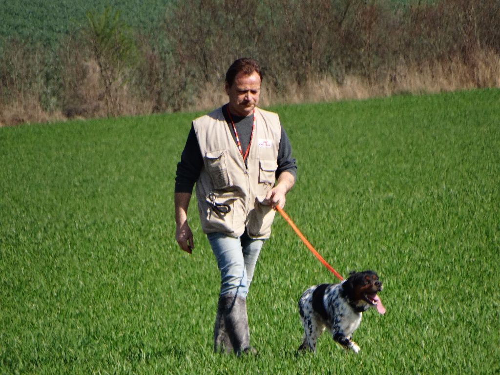 de la vallée de la Py - CONCOURS DE FIELD TRIALS DE PRINTEMPS 2019