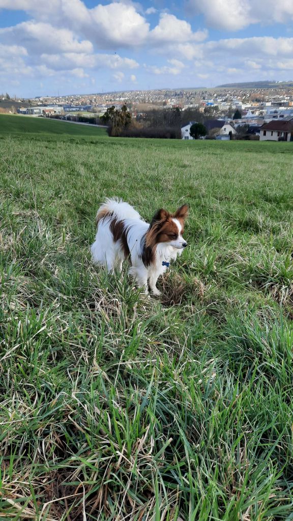 de la vallée de la Py - Reçu une photo de Samy de la vallée de la py merci