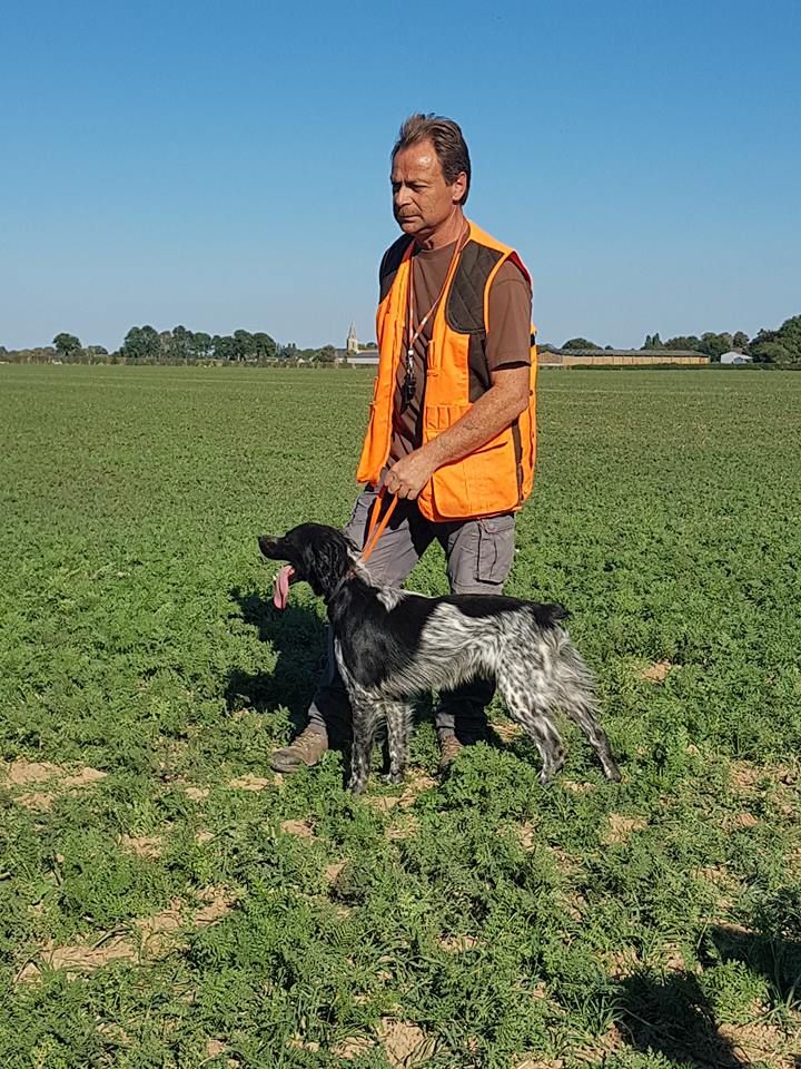 de la vallée de la Py - FIELD TRIAL D'AUTOMNE 2018