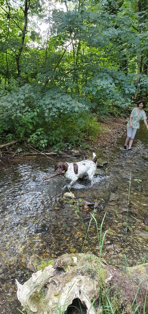 de la vallée de la Py - Reçu une photo de Talya de la vallée de la py merci