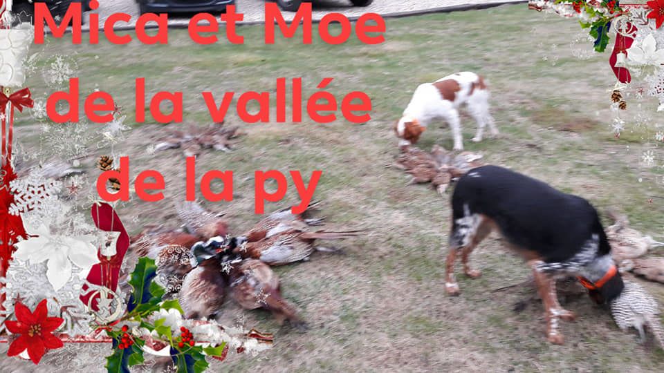 de la vallée de la Py - RECU UNE PHOTO DE MICA ET MOE MERCI