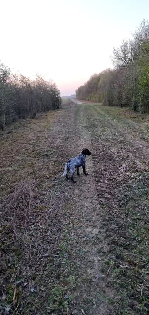 de la vallée de la Py - Reçu une photo de Saya de la vallée de la py merci