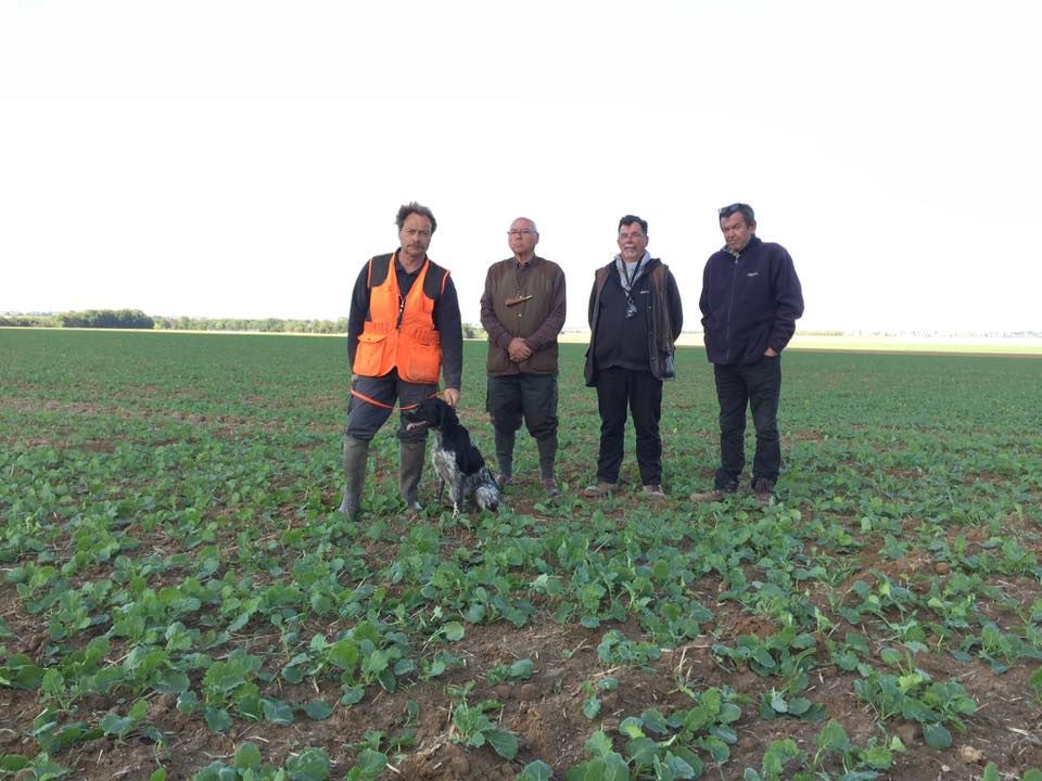 de la vallée de la Py - CONCOURS DE FIELD TRIALS D'AUTOMNE 2019