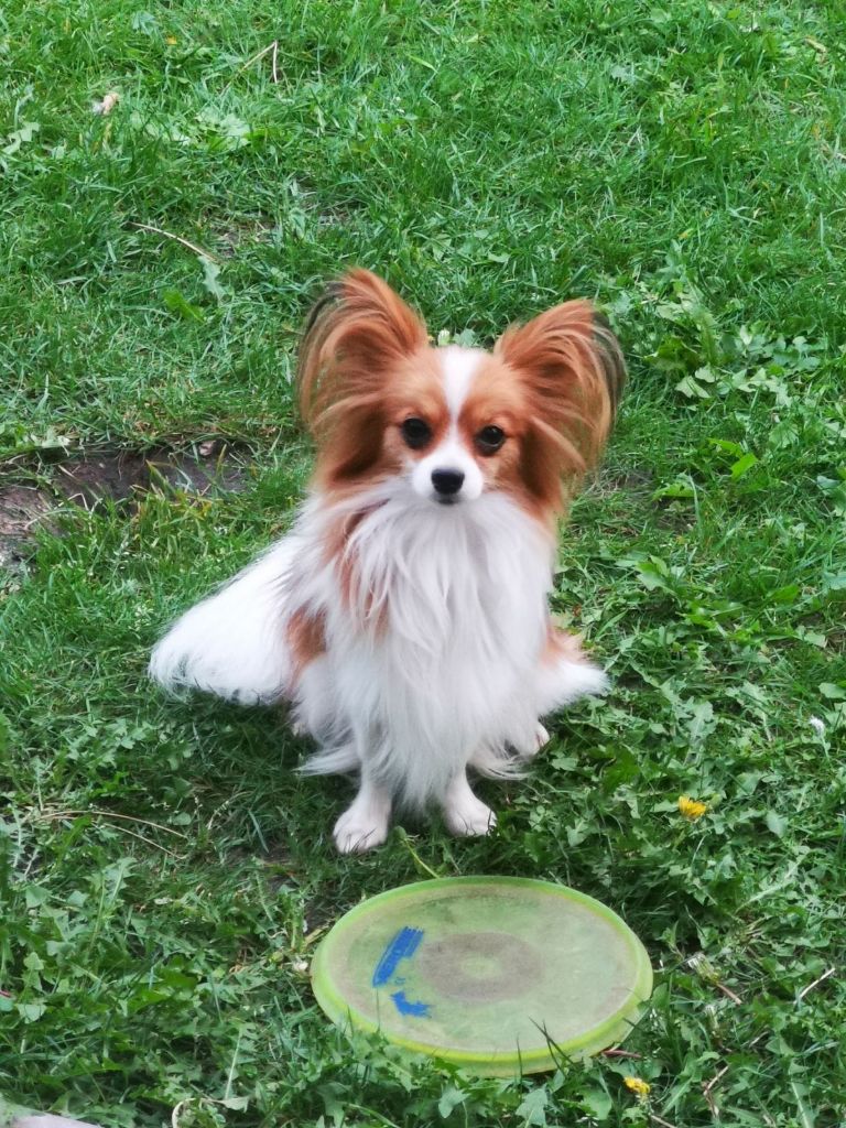 de la vallée de la Py - Reçu une photo de Sweety de la vallée de la py merci