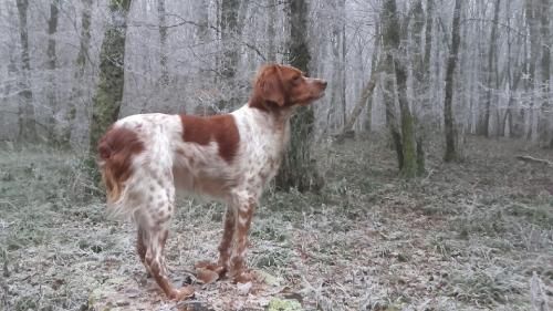 de la vallée de la Py - DES NOUVELLES DE JOLIE