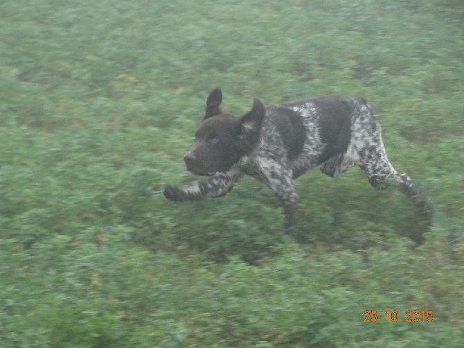 de la vallée de la Py - SORTIE DANS LE BROUILLARD