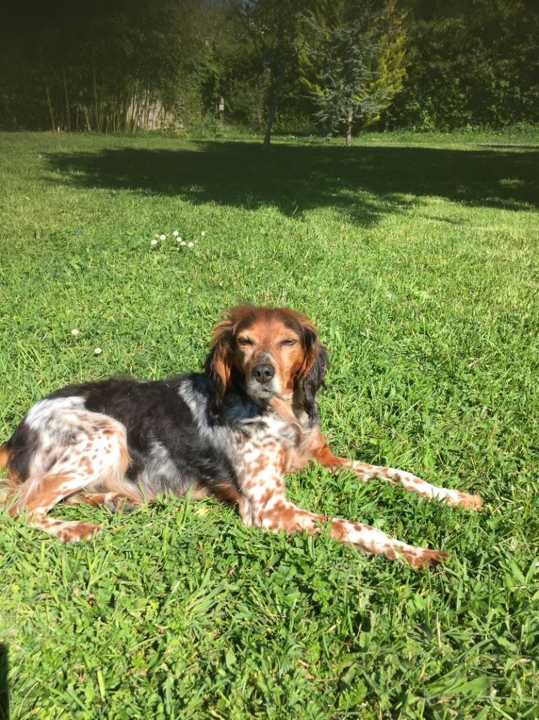 de la vallée de la Py - Reçu une photo de Hadelle a la retraite merci