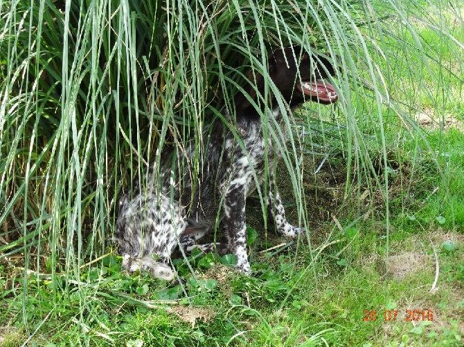 de la vallée de la Py - UNE PHOTO DE MYLIE