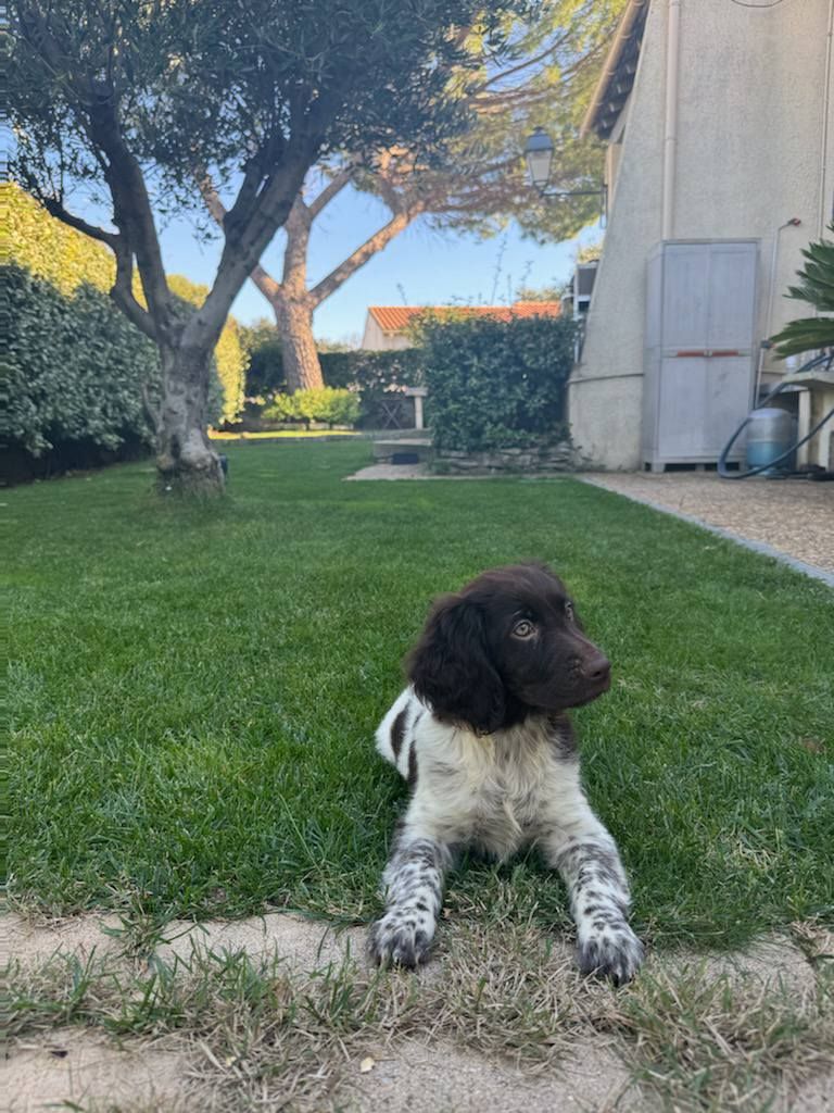 de la vallée de la Py - Reçu une photo de Vaika de la vallée de la py merci