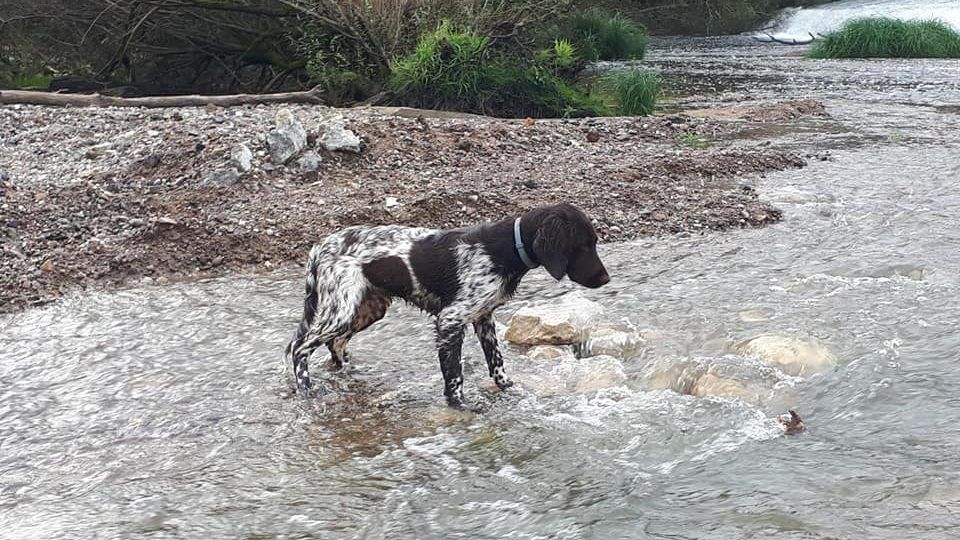 de la vallée de la Py - Reçu une photo de Sheyenne de la vallée de la py merci