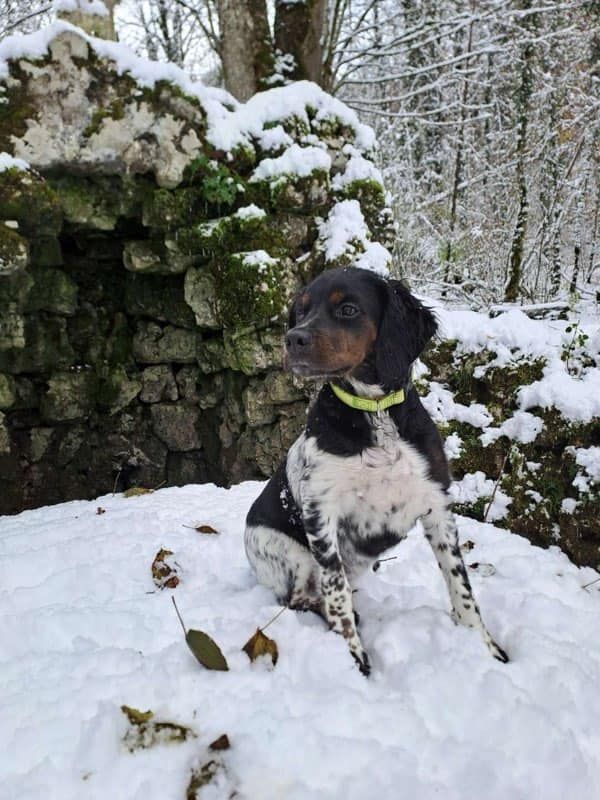 de la vallée de la Py - Reçu une photo de Vany de la vallée de la py merci