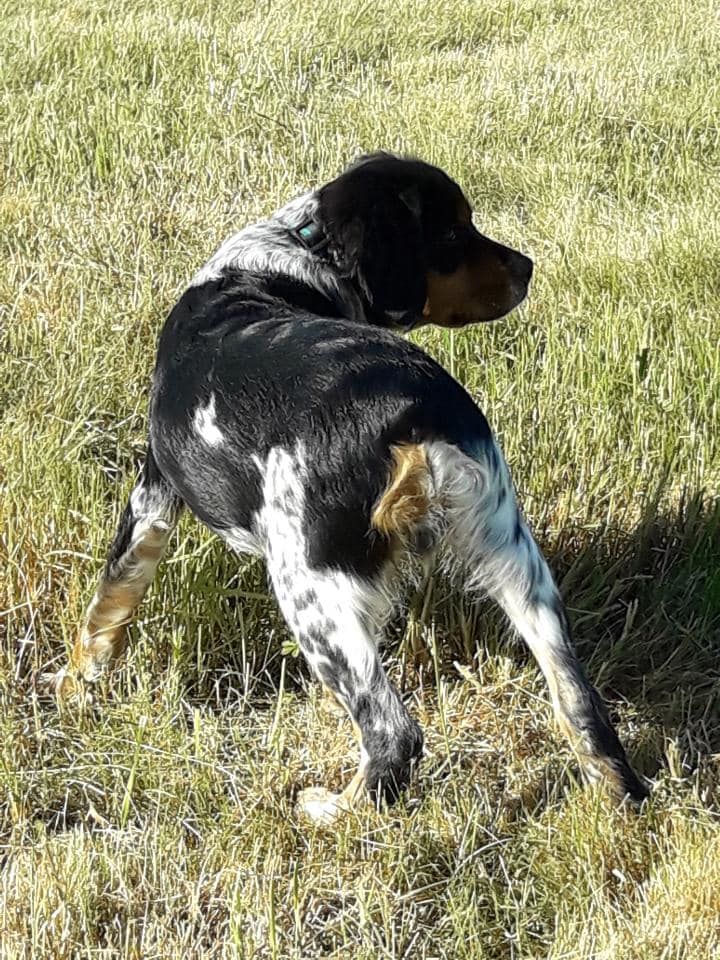 de la vallée de la Py - Reçu une photo de Reiko de la vallée de la py merci