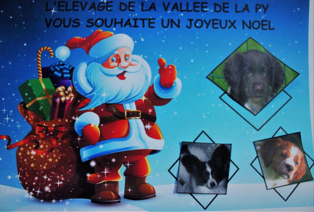 de la vallée de la Py - JOYEUX NOEL