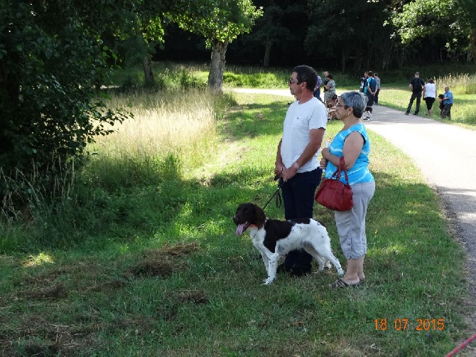 de la vallée de la Py - JOY VISITE  BELVAL LE 18 /07/2015