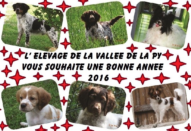 de la vallée de la Py - BONNE ANNEE 2016