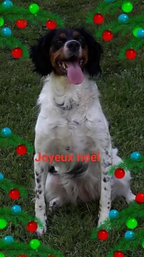 de la vallée de la Py - JOYEUX NOEL A VOUS