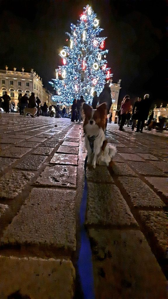 de la vallée de la Py - Reçu une photo de Samy de la vallée de la py merci