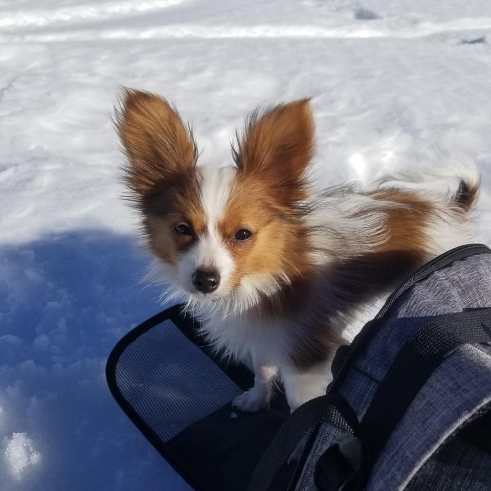 de la vallée de la Py - Reçu une photo de R'Lucky de la vallée de la py merci