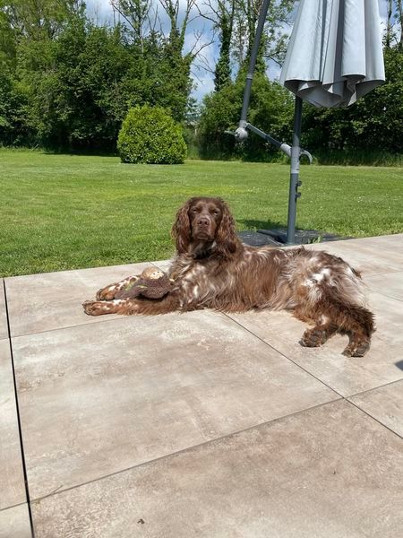 de la vallée de la Py - Reçu une photo de Toto de la vallée de la py merci