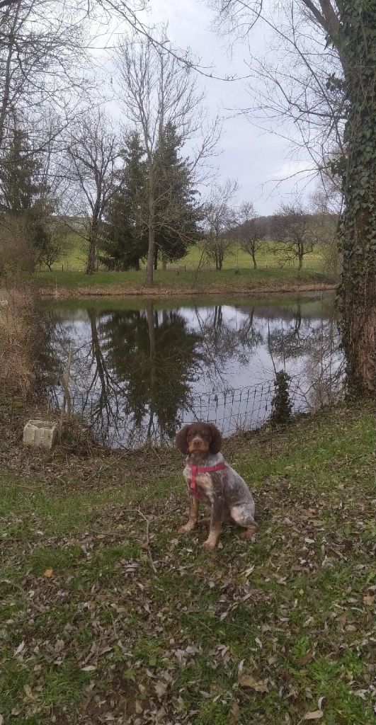 de la vallée de la Py - Reçu une photo de R'Cajou de la vallée de la py merci