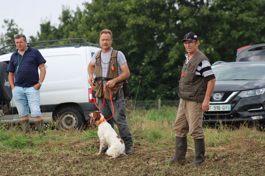 de la vallée de la Py - TAN A BELLICOURT LE 05/09/2021 8 CHIENS PRESENTE PAR PHILIPPE