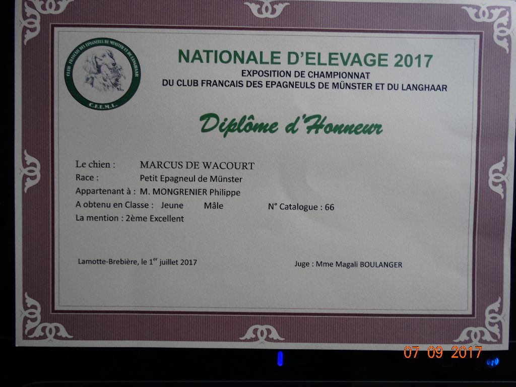 de la vallée de la Py -  DIPLOME D'HONNEUR POUR MARCUS