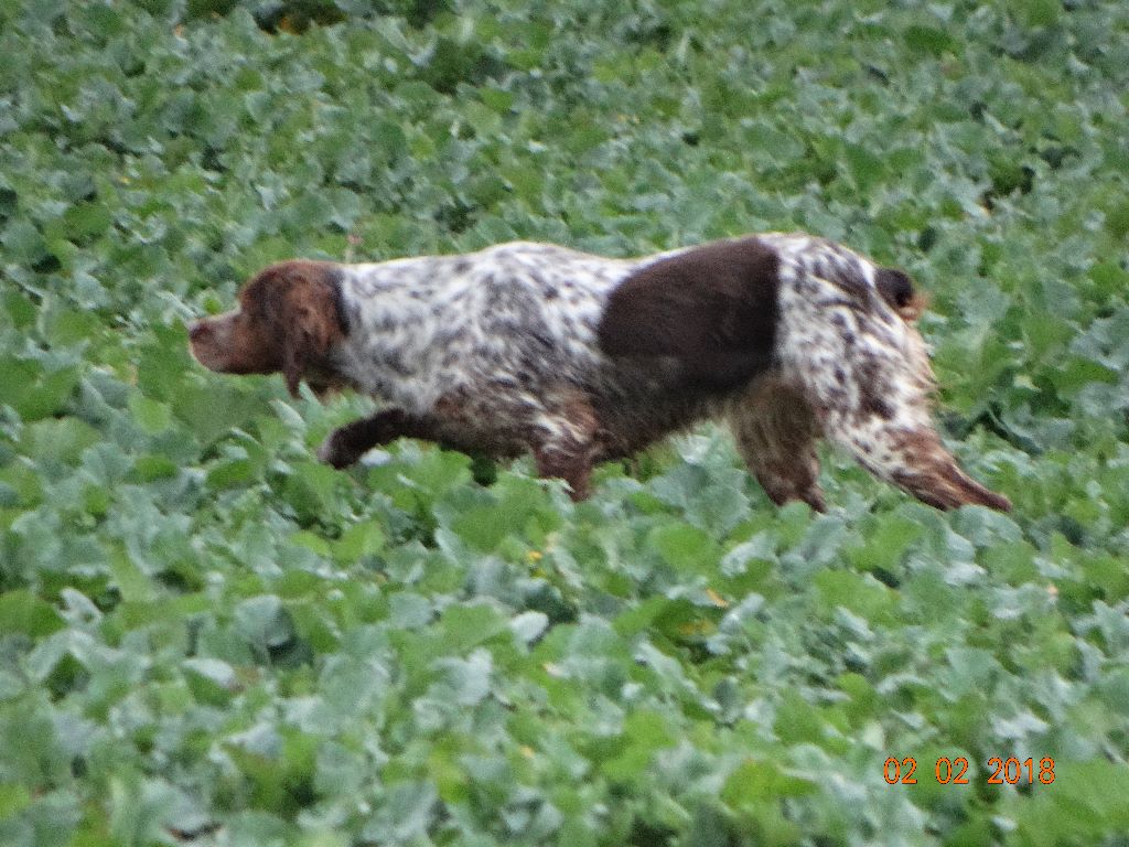 de la vallée de la Py - TAN A HOLNON LE 03/02/2018 AVEC MIMI