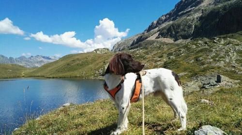 de la vallée de la Py - UNE BELLE PHOTO DE LASSO