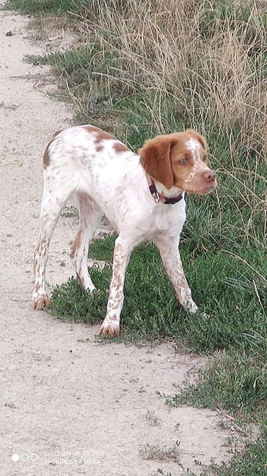 de la vallée de la Py - Reçu une photo de Twix de la vallée de la py merci