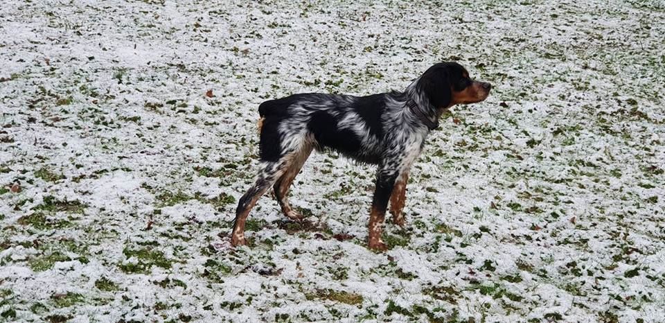 de la vallée de la Py - reçu une photo de ouper de la vallée de la py merci