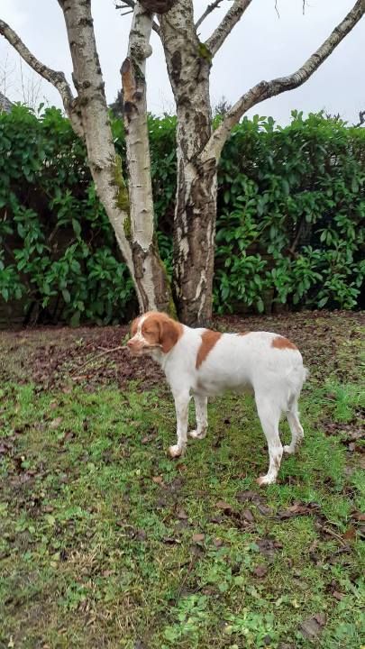 de la vallée de la Py - Reçu une photo de Vanille de la vallée de la py merci