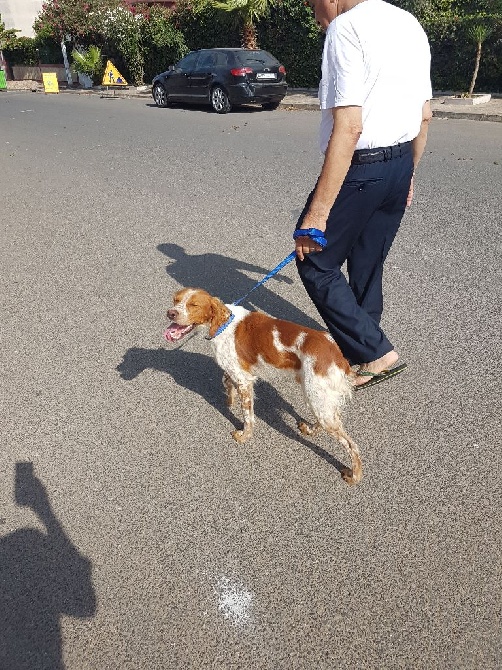 de la vallée de la Py - DES NOUVELLES DE LAKO AU MAROC