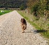  - Reçu une photo de Toto de la vallée de la py merci