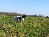  - Reçu une photo de Madonne de la vallée de la py merci