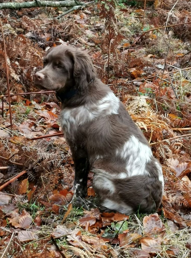 de la vallée de la Py - Reçu une photo de Valko dit Hector de la vallée de la py merci