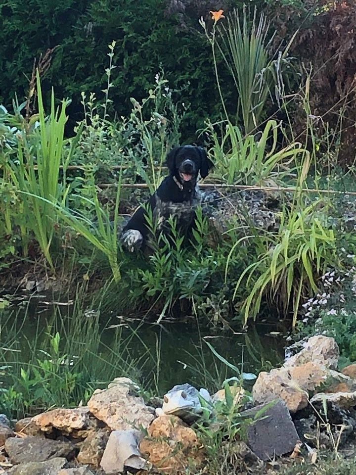 de la vallée de la Py - RECU UNE PHOTO DE PACKO DE LA VALLEE DE LA PY MERCI