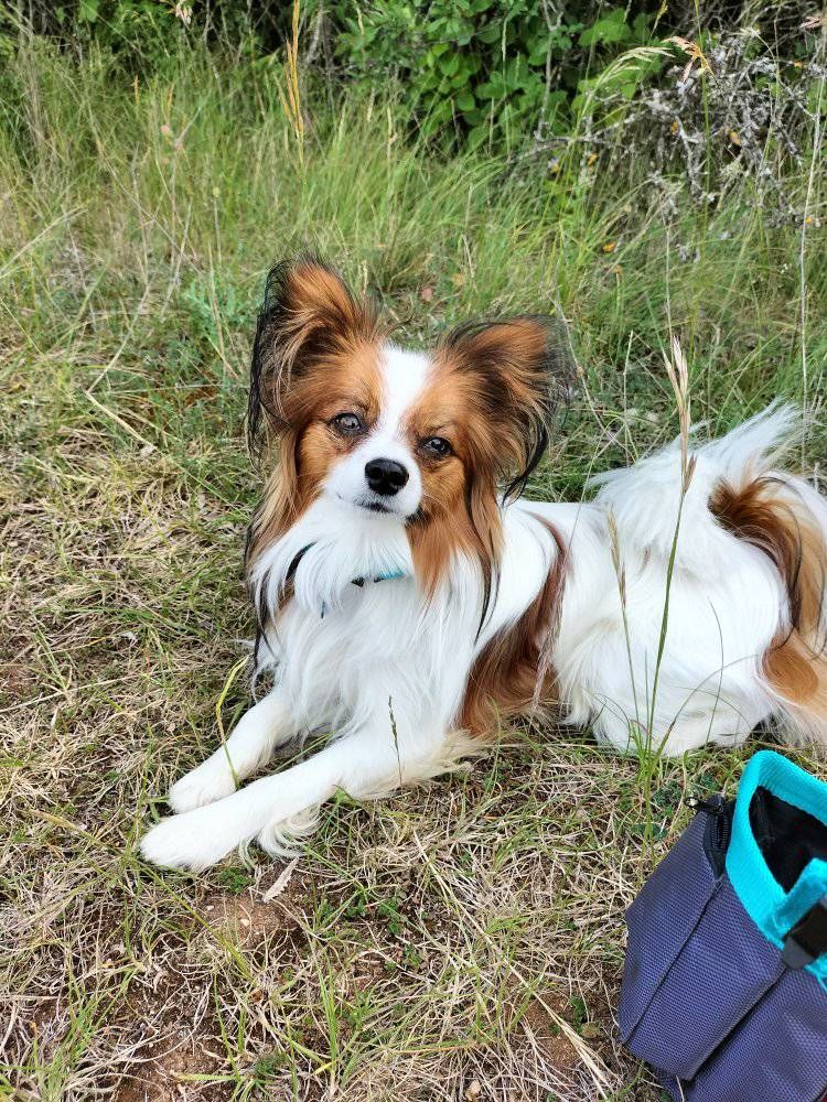 de la vallée de la Py - Reçu une photo de Samy de la vallée de la py merci