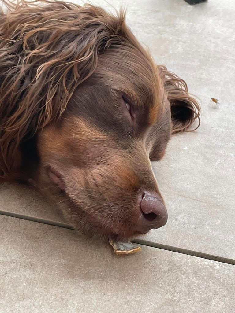 de la vallée de la Py - Reçu une photo de Toto de la vallée de la py merci