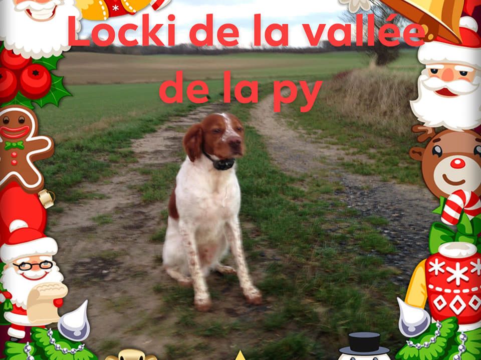 de la vallée de la Py - DES NOUVELLES DE LOCKI MERCI