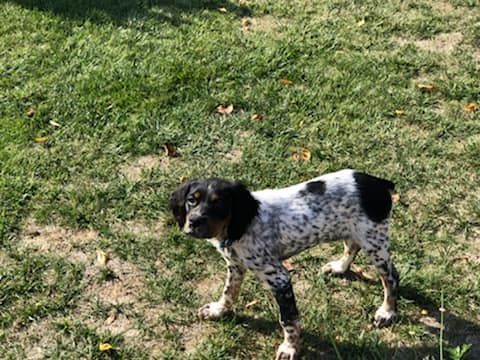 de la vallée de la Py - recu des photos de oprah de la vallée de la py merci